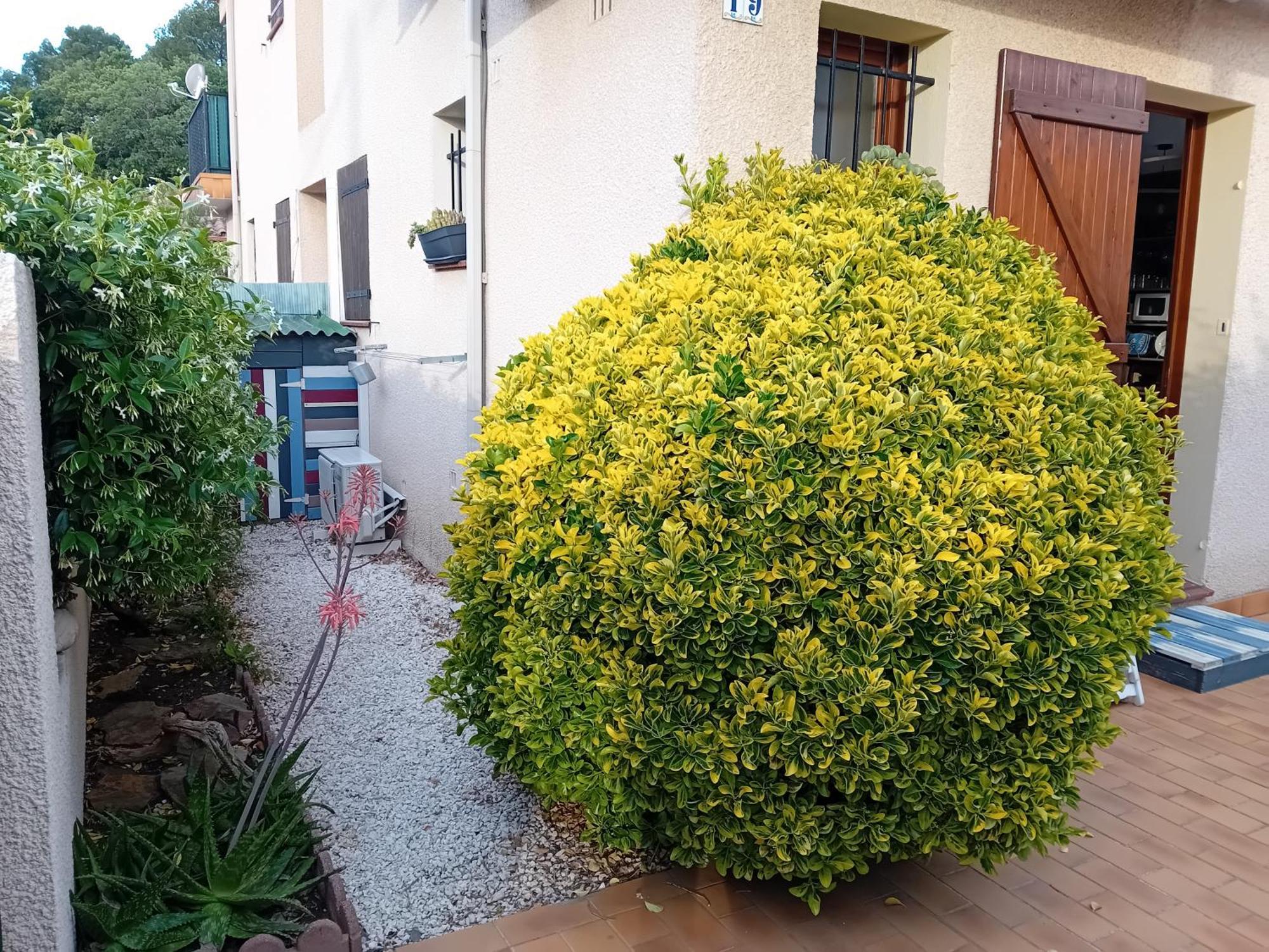 Le Racou Villa Argeles-sur-Mer Exterior photo
